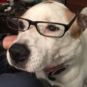 Meet your Posher, Kyeongrim